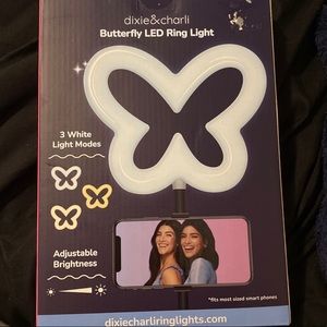 LED light butterfly